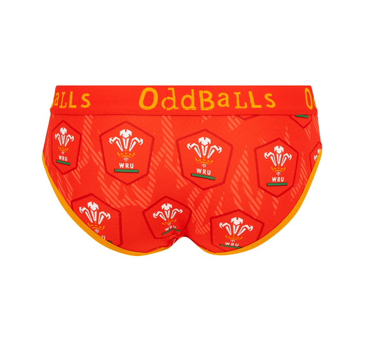 Welsh Rugby Union Flames - Ladies Briefs